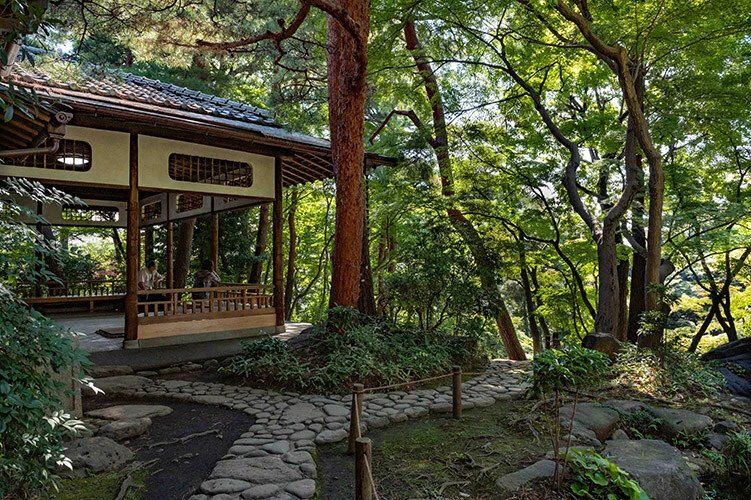 🌳 도노가야토 정원 (殿ヶ谷戸庭園) 이미지 6